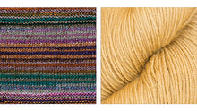Butterfly Pappion Shawl Kit