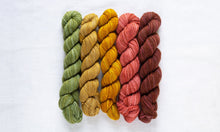 Fino Mini-Skein Kits