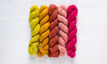 Fino Mini-Skein Kits