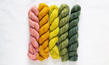 Fino Mini-Skein Kits