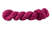 Bocados: Alegria Grande Mini Skeins