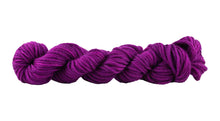 Bocados: Alegria Grande Mini Skeins