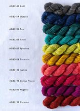 Bocados: Alegria Grande Mini Skeins