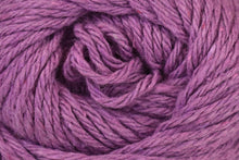 Clean Cotton Solids
