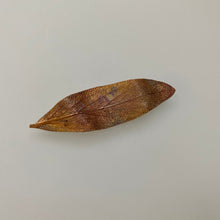 Sage Leaf Shawl Pin